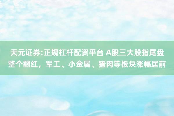 天元证券:正规杠杆配资平台 A股三大股指尾盘整个翻红，军工、小金属、猪肉等板块涨幅居前