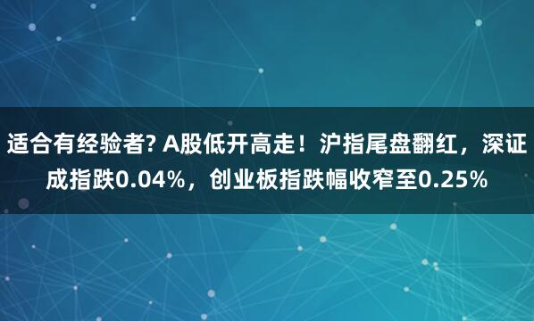适合有经验者? A股低开高走！沪指尾盘翻红，深证成指跌0.04%，创业板指跌幅收窄至0.25%