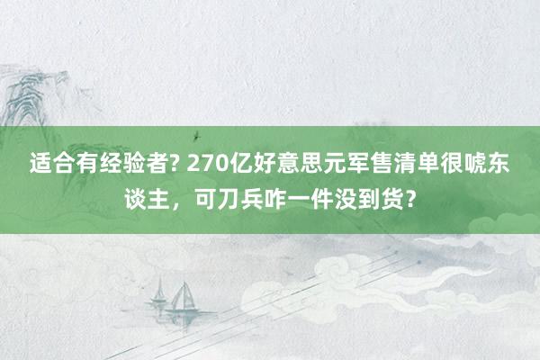 适合有经验者? 270亿好意思元军售清单很唬东谈主，可刀兵咋一件没到货？