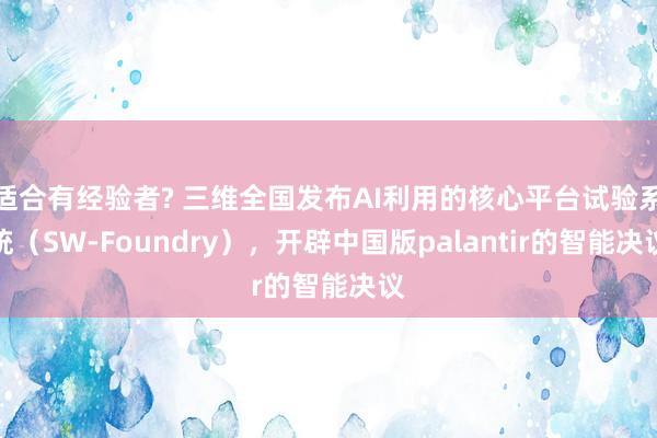适合有经验者? 三维全国发布AI利用的核心平台试验系统（SW-Foundry），开辟中国版palantir的智能决议
